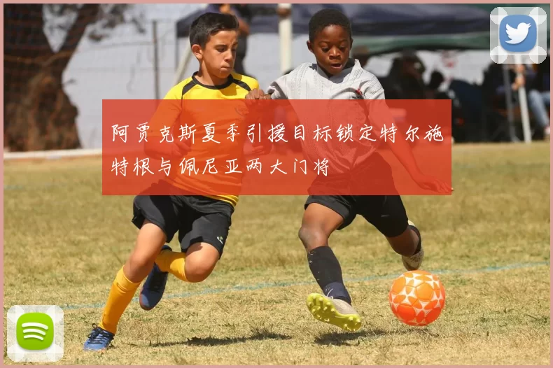 阿贾克斯夏季引援目标锁定特尔施特根与佩尼亚两大门将