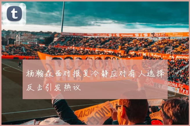 杨瀚森面对报复冷静应对有人选择反击引发热议