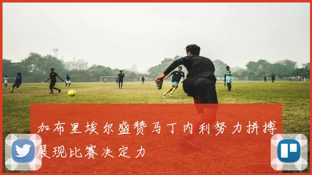 加布里埃尔盛赞马丁内利努力拼搏展现比赛决定力